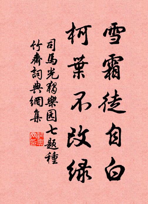 司马光雪霜徒自白，柯叶不改绿书法作品欣赏