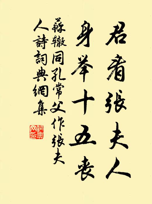 苏辙君看张夫人，身举十五丧书法作品欣赏