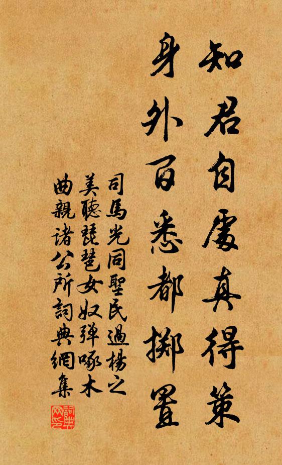 司马光知君自处真得策，身外百悉都掷置书法作品欣赏