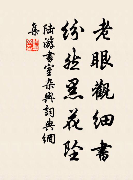 陆游老眼观细书，纷然黑花坠书法作品欣赏