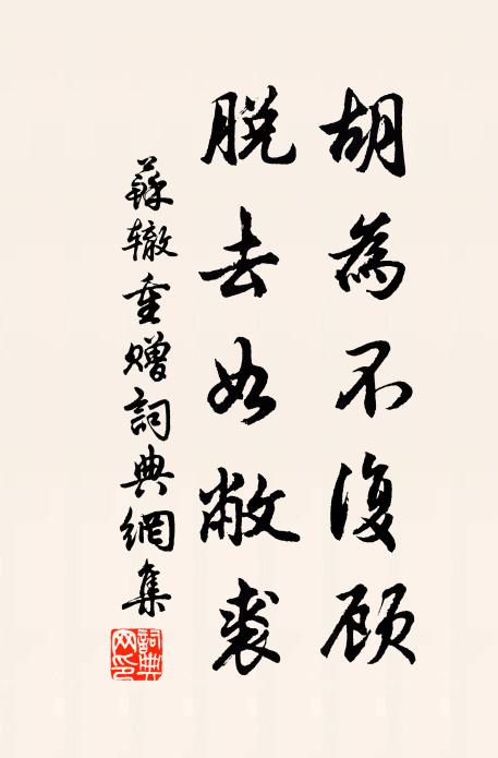 苏辙胡为不复顾，脱去如敝裘书法作品欣赏
