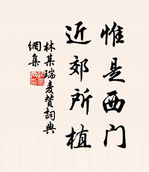 林某惟是西门，近郊所植书法作品欣赏