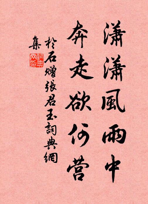 于石潇潇风雨中，奔走欲何营书法作品欣赏