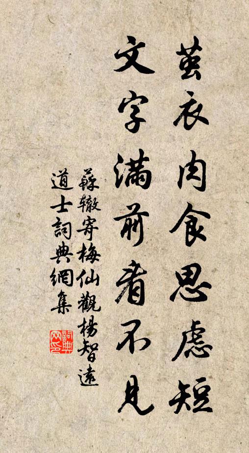 苏辙茧衣肉食思虑短，文字满前看不见书法作品欣赏