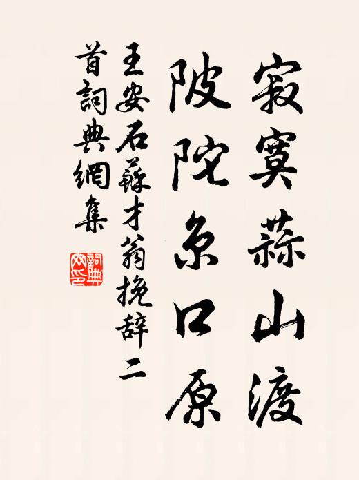 王安石寂寞蒜山渡，陂陀京口原书法作品欣赏