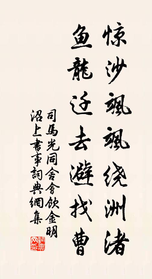 司马光惊沙飒飒绕洲渚，鱼龙迁去避找曹书法作品欣赏