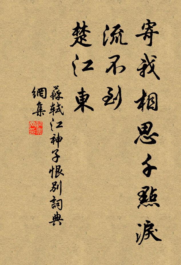 苏轼寄我相思千点泪，流不到，楚江东书法作品欣赏