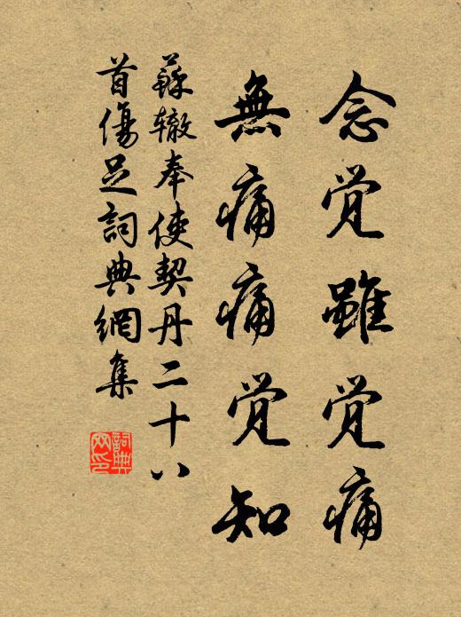 苏辙念觉虽觉痛，无痛痛觉知书法作品欣赏