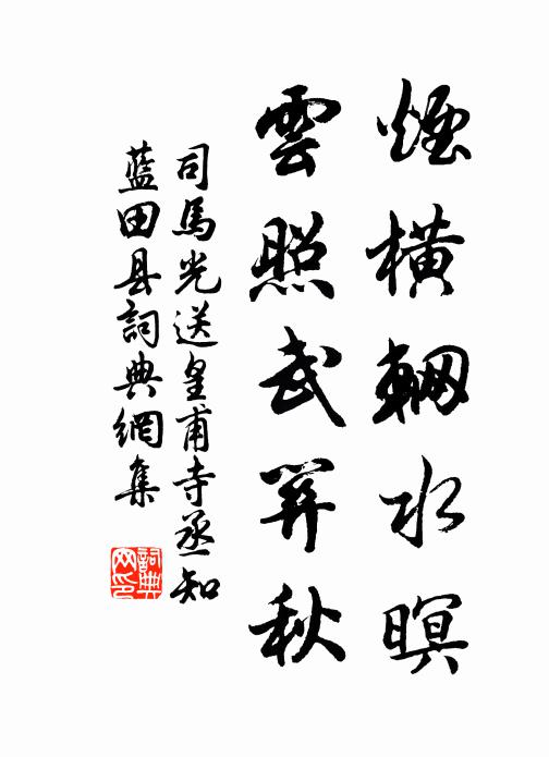 司马光烟横辋水暝，云照武关秋书法作品欣赏