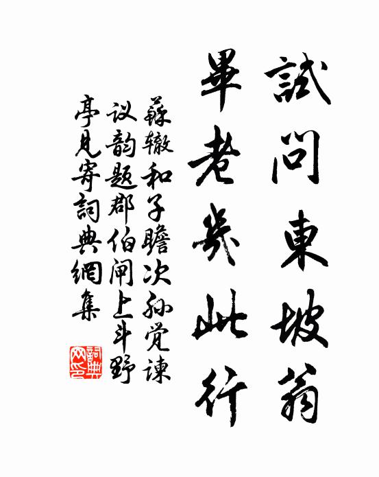 苏辙试问东坡翁，毕老几此行书法作品欣赏