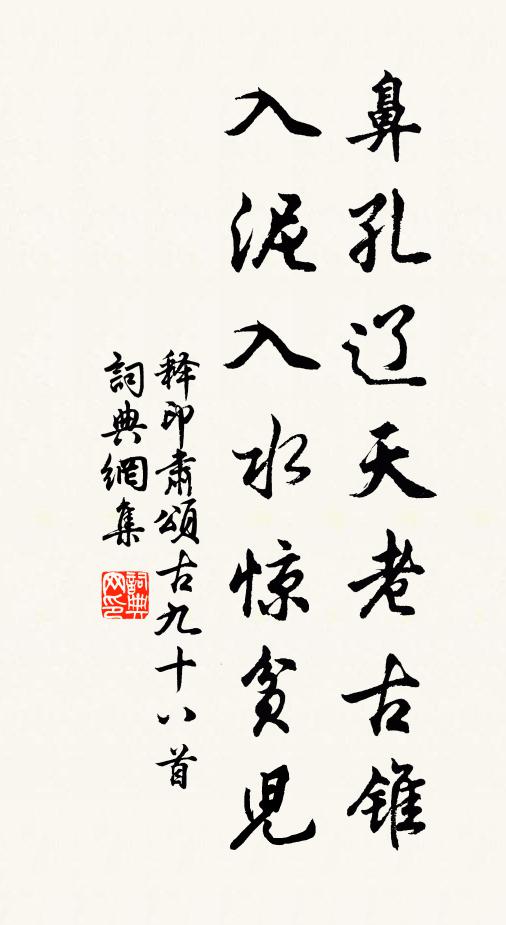 释印肃鼻孔辽天老古锥，入泥入水惊贫儿书法作品欣赏