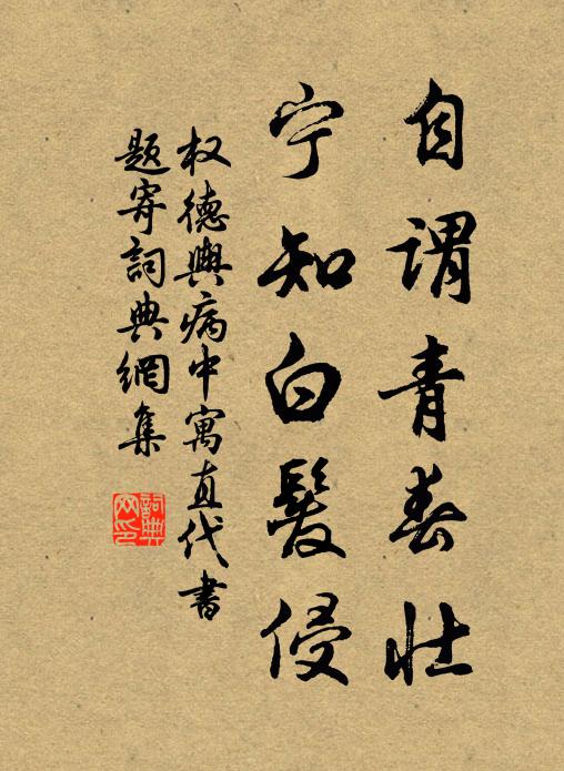 权德舆自谓青春壮，宁知白发侵书法作品欣赏