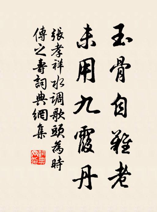 张孝祥玉骨自难老，未用九霞丹书法作品欣赏