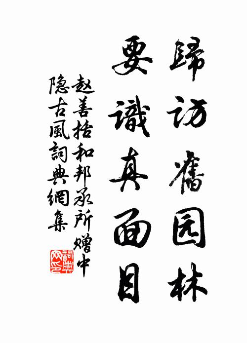 赵善括归访旧园林，要识真面目书法作品欣赏