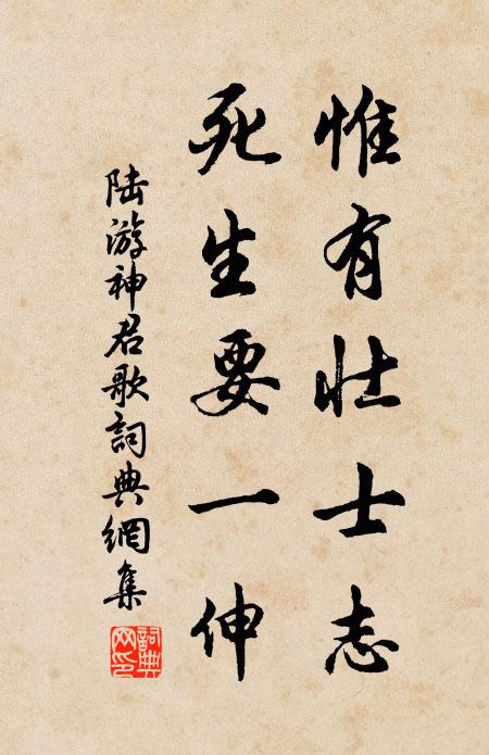 陆游惟有壮士志，死生要一伸书法作品欣赏