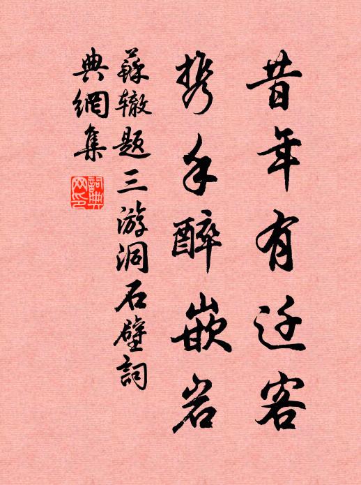 苏辙昔年有迁客，携手醉嵌岩书法作品欣赏