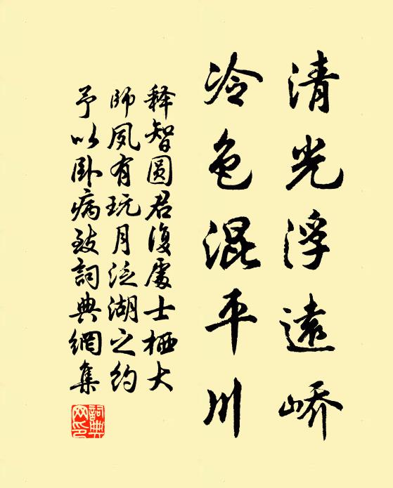 释智圆清光浮远峤，冷色混平川书法作品欣赏