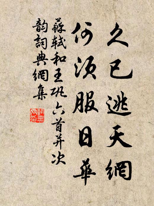 苏轼久已逃天网，何须服日华书法作品欣赏