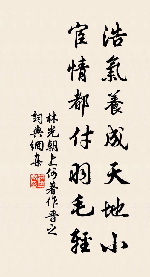 林光朝浩气养成天地小，宦情都付羽毛轻书法作品欣赏