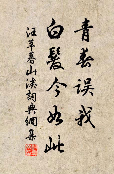 汪莘青春误我，白发今如此书法作品欣赏