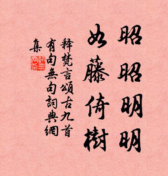 释梵言昭昭明明，如藤倚树书法作品欣赏