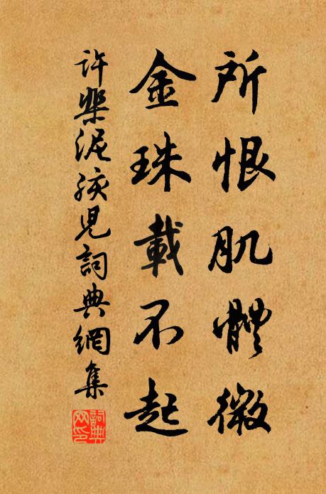 许棐所恨肌体微，金珠载不起书法作品欣赏