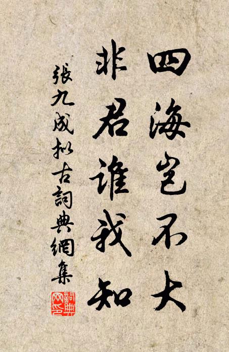 张九成四海岂不大，非君谁我知书法作品欣赏