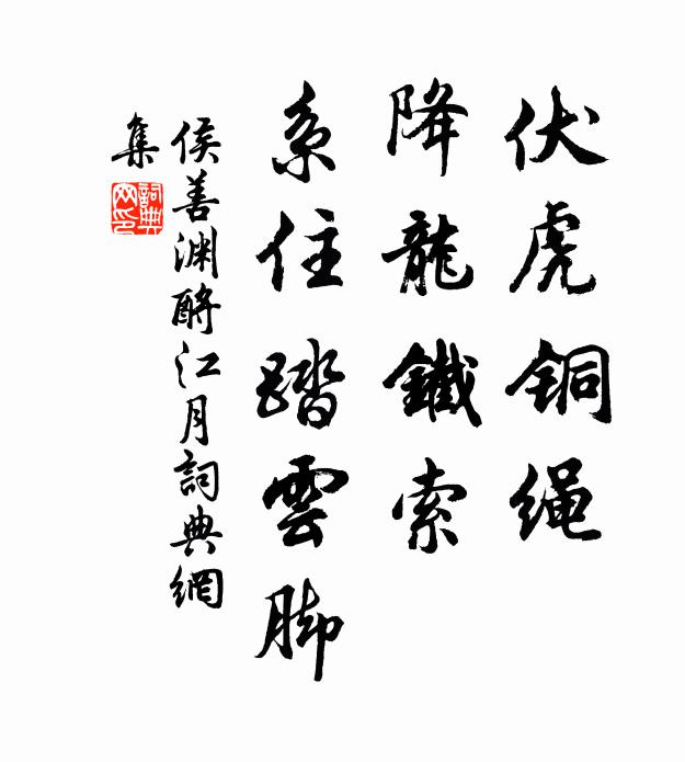 侯善渊伏虎铜绳，降龙铁索，系住踏云脚书法作品欣赏