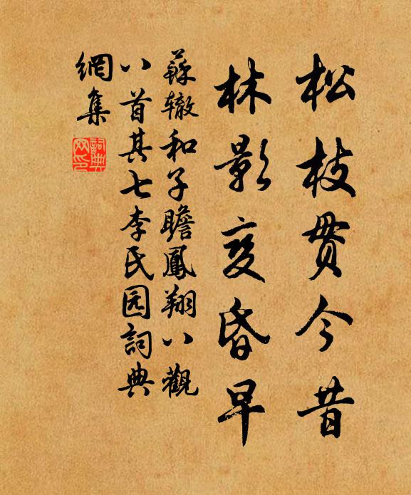 苏辙松枝贯今昔,林影变昏早书法作品欣赏
