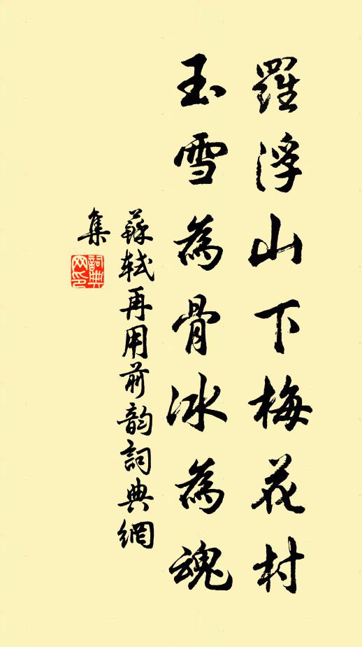 苏轼罗浮山下梅花村，玉雪为骨冰为魂书法作品欣赏