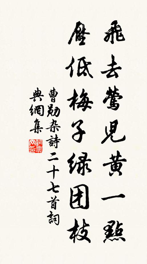 曹勋飞去莺儿黄一点，压低梅子绿团枝书法作品欣赏