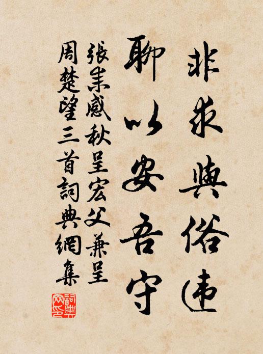 张耒非求与俗违，聊以安吾守书法作品欣赏
