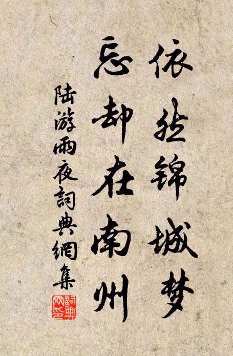 陆游依然锦城梦，忘却在南州书法作品欣赏