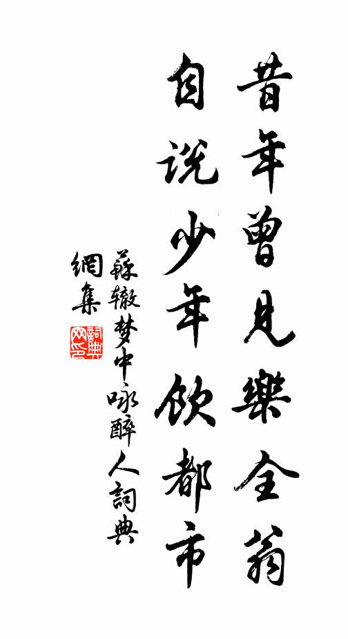 苏辙昔年曾见乐全翁，自说少年饮都市书法作品欣赏
