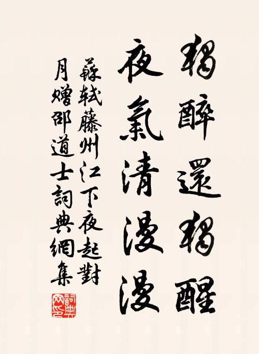 苏轼独醉还独醒，夜气清漫漫书法作品欣赏