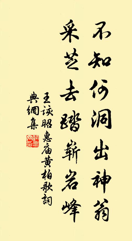 王该不知何洞出神翁，采芝去踏崭岩峰书法作品欣赏