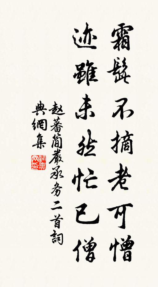 赵蕃霜髭不摘老可憎，迹虽未然忙已僧书法作品欣赏