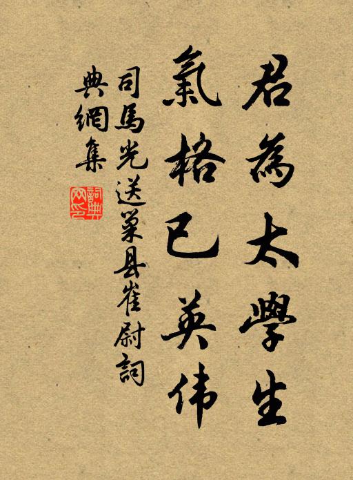司马光君为太学生，气格已英伟书法作品欣赏