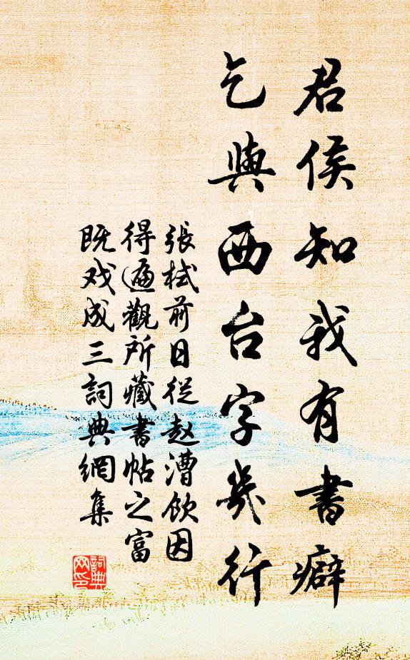 张栻君侯知我有书癖，乞与西台字几行书法作品欣赏