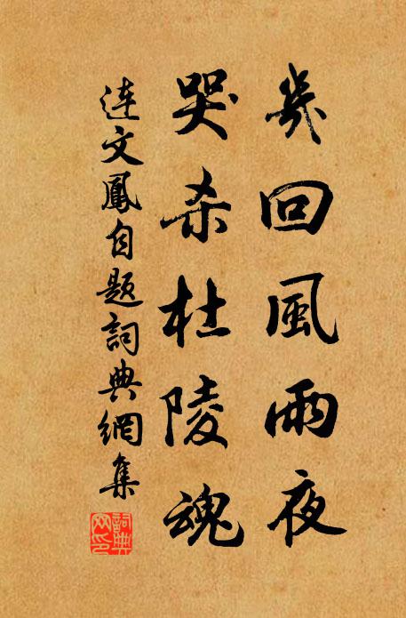 连文凤几回风雨夜，哭杀杜陵魂书法作品欣赏