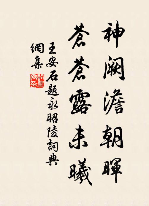王安石神阙澹朝晖，苍苍露未曦书法作品欣赏