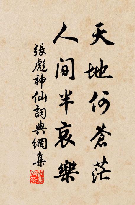 张彪天地何苍茫，人间半哀乐书法作品欣赏