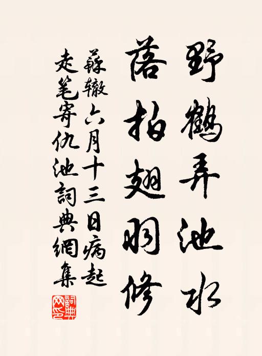 苏辙野鹤弄池水，落拍翅羽修书法作品欣赏