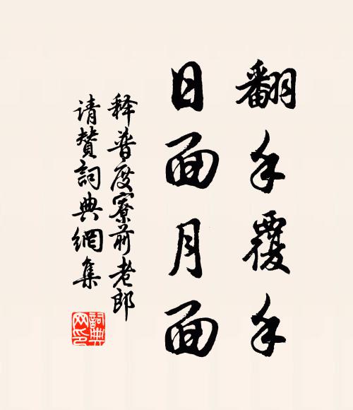 释普度翻手覆手，日面月面书法作品欣赏
