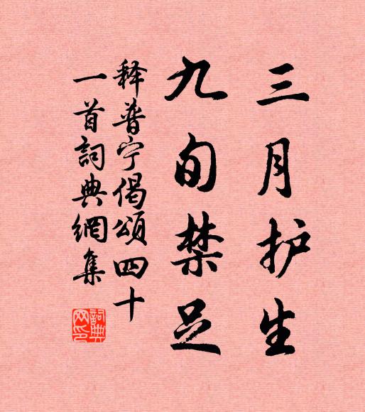 释普宁三月护生，九旬禁足书法作品欣赏