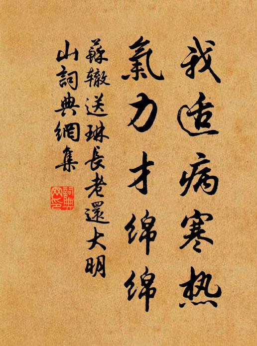 苏辙我适病寒热，气力才绵绵书法作品欣赏