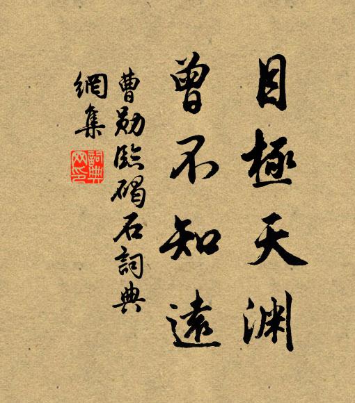 曹勋目极天渊，曾不知远书法作品欣赏