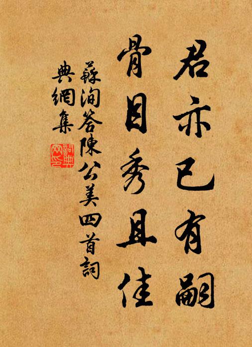 苏洵君亦已有嗣，骨目秀且佳书法作品欣赏