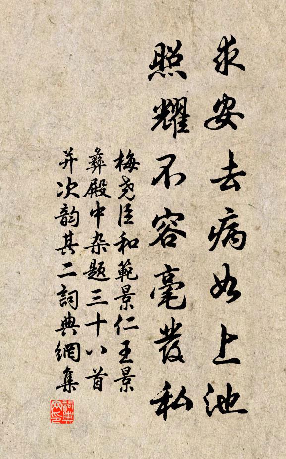 梅尧臣求安去病如上池，照耀不容毫发私书法作品欣赏