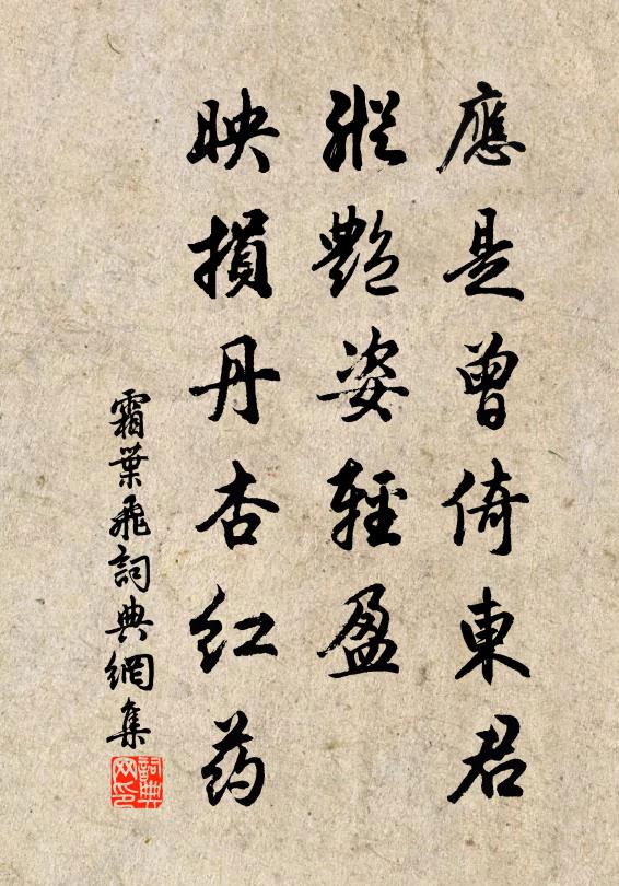佚名应是曾倚东君，纵艳姿轻盈，映损丹杏红药书法作品欣赏